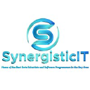 Synergisticit