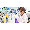 Lundbeck logo