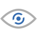 crv surveillance logo