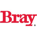 Bray International