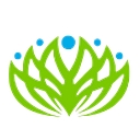 Longevity Health Plan