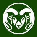 Program Coordinator