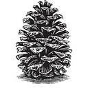 Southland Log Homes logo