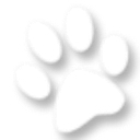John Young Parkway Animal Hospital logo
