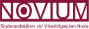 Novium