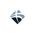 Professional Transition Strategies logo