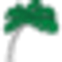 Star Island Management logo