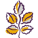 Telecare Corporation