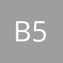 Big-5-Sporting-Goods logo